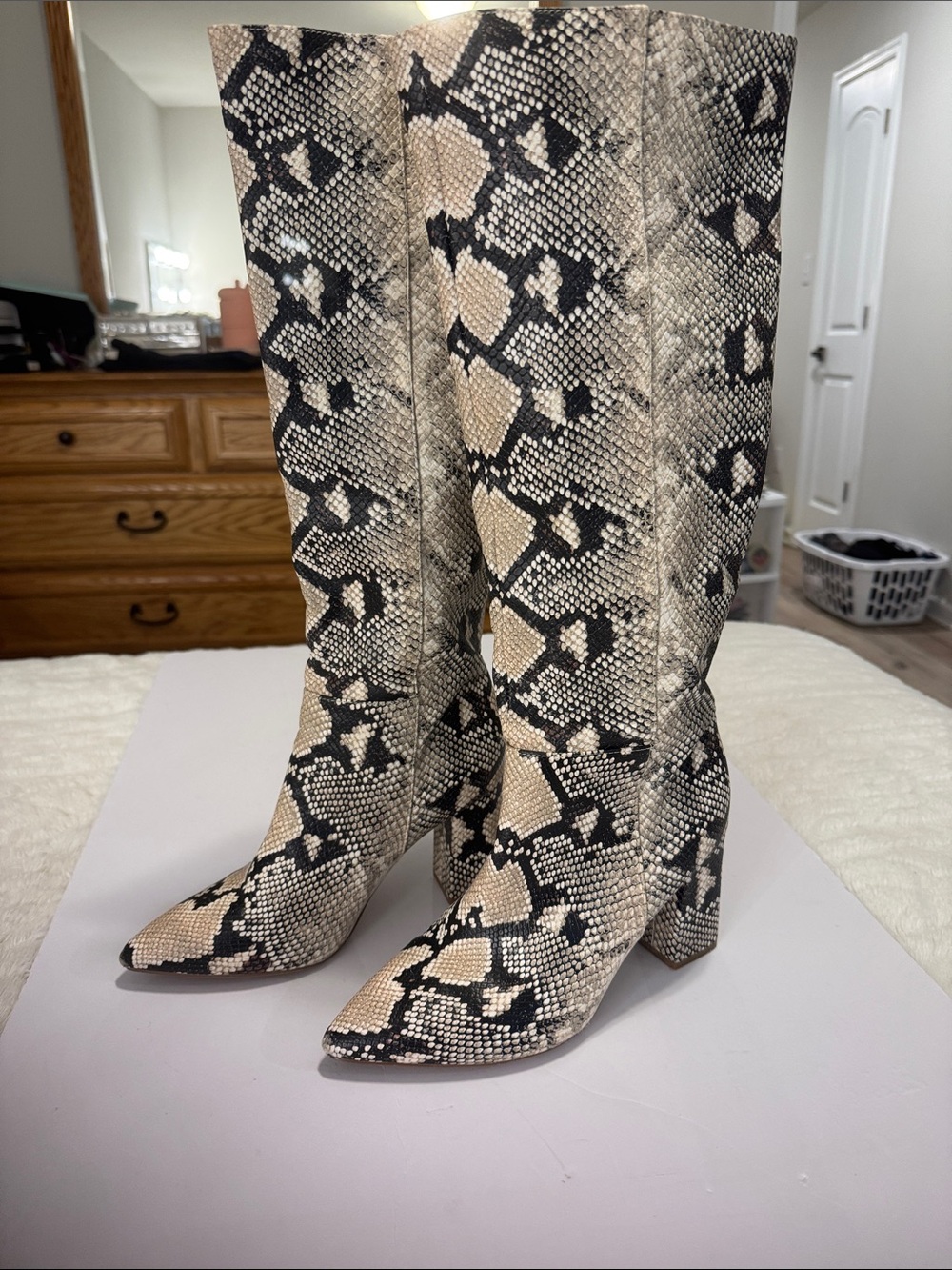 Snake-Print Over-the-Knee Boots in Black and Cream